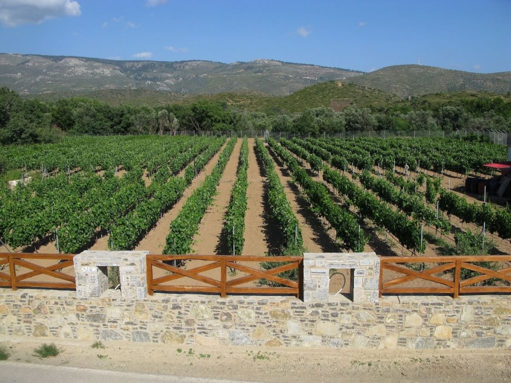 Domaine Kefala Vineyard